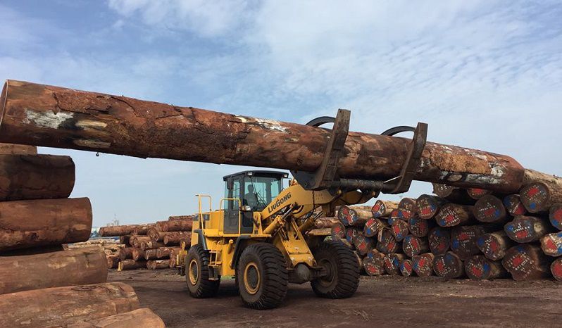 Máy Xúc Lật Gắp Gỗ Giá Tốt - LiuGong Hải Âu